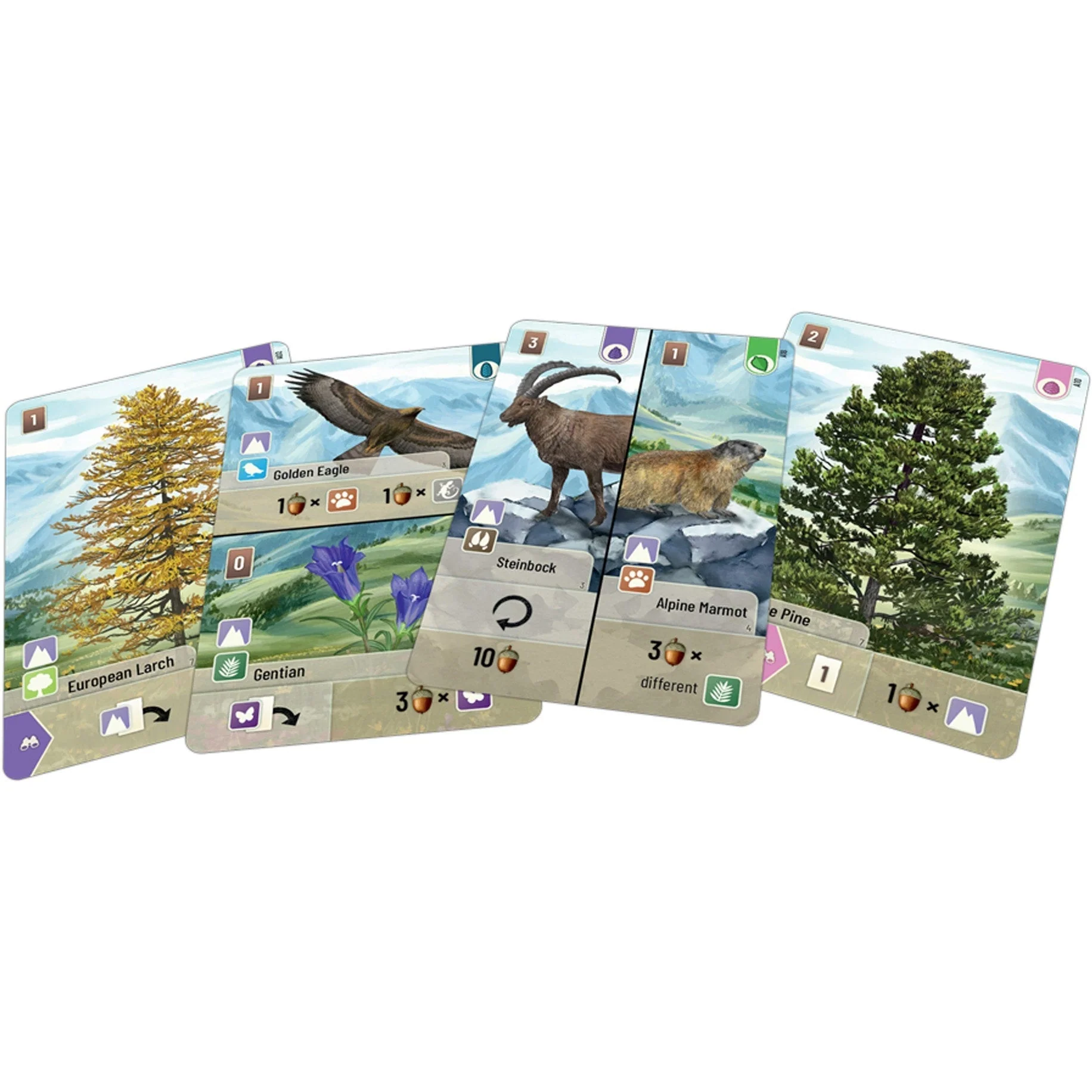 Asmodee Forest Shuffle Alpine Expansion Game - Image 3