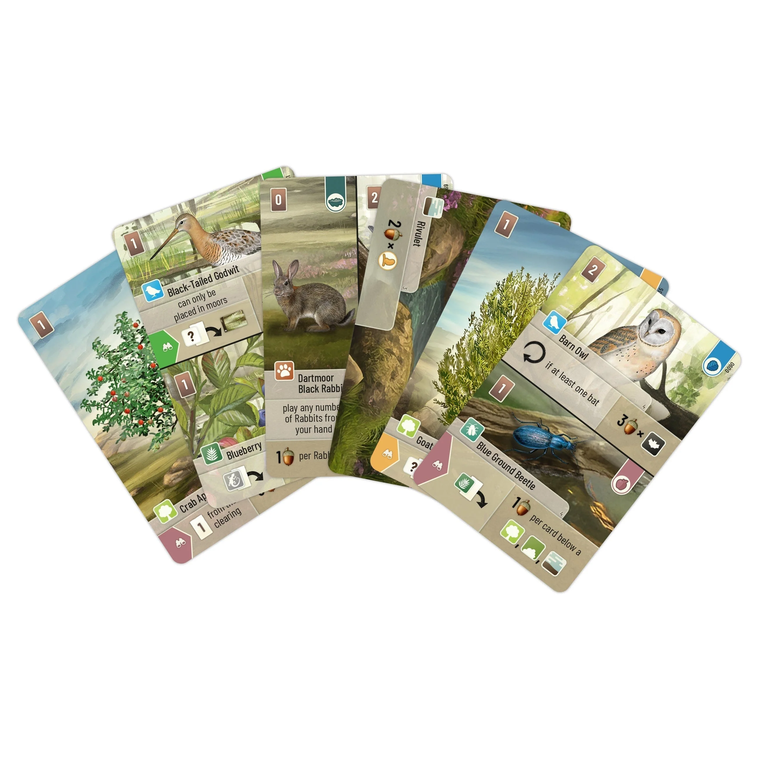 Asmodee Forest Shuffle Dartmoor Game - Image 4