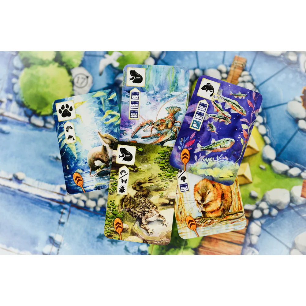 Asmodee Meadow Downstream Expansion Game - Image 8