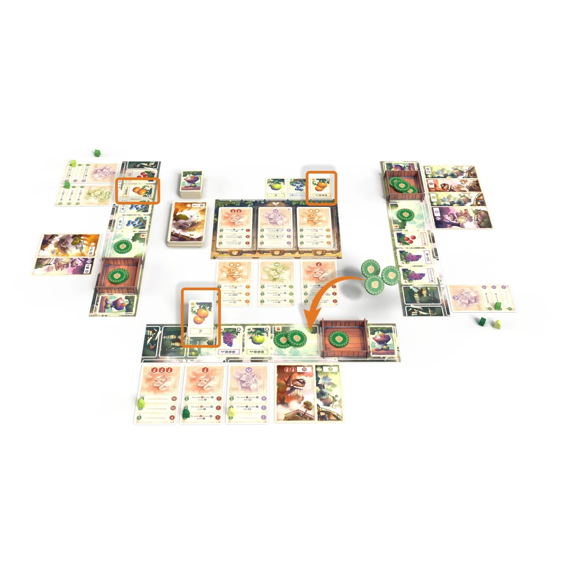 Asmodee Tree Society Game - Image 2