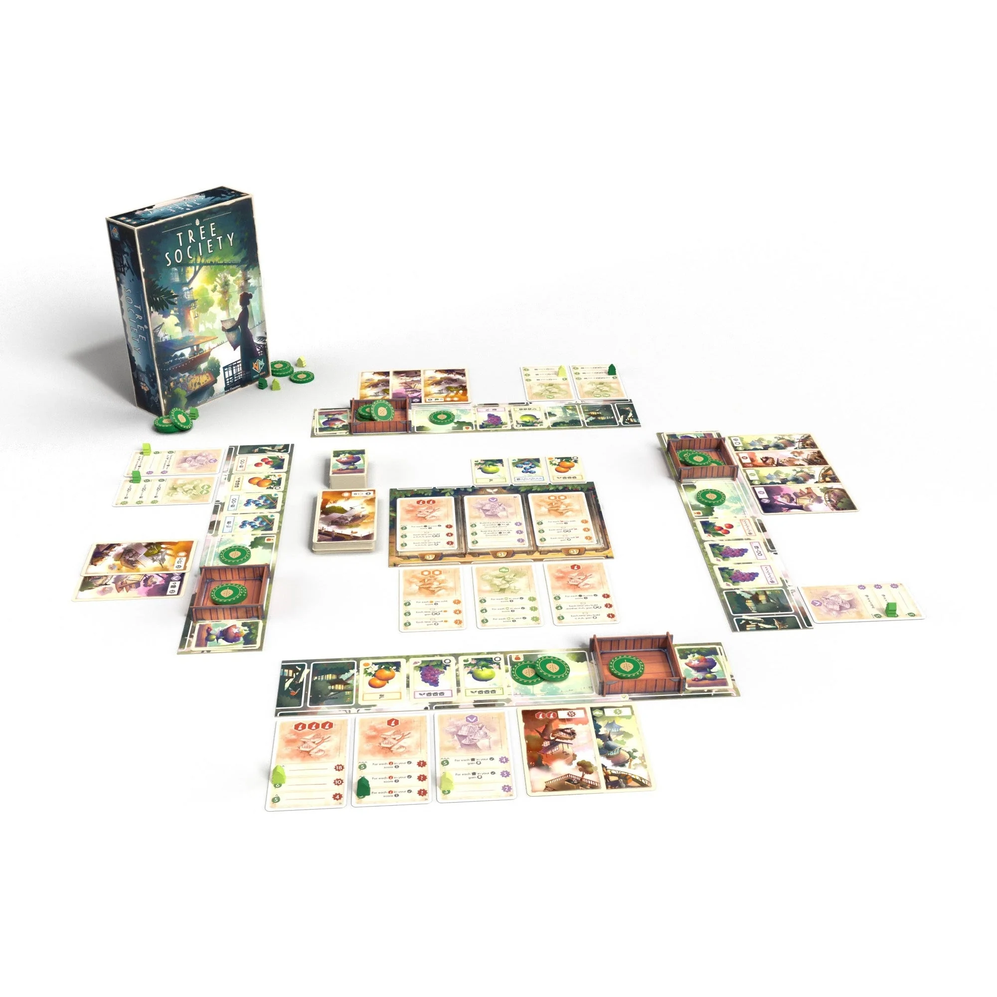 Asmodee Tree Society Game - Image 6