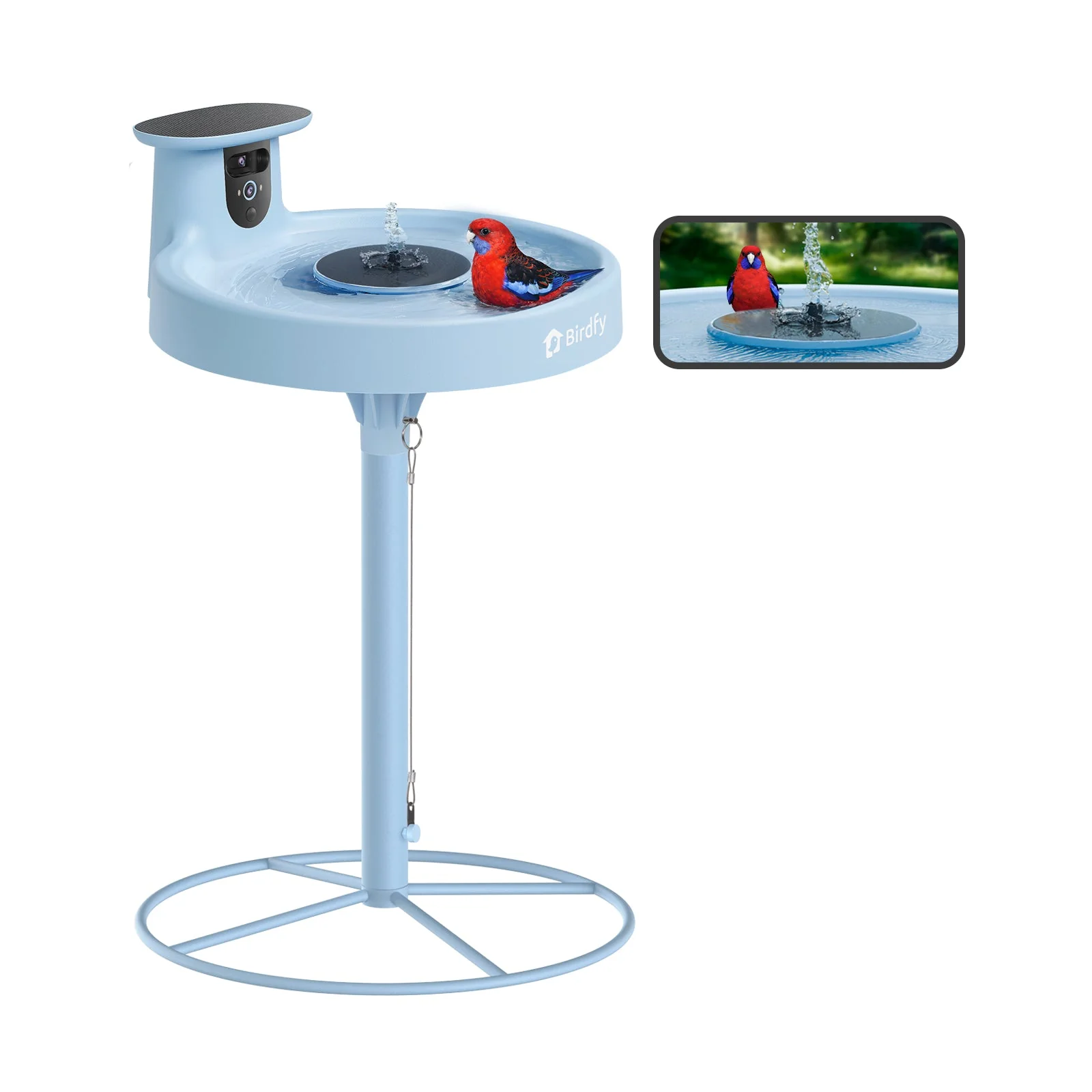 Birdfy Bath Pro AI Lifetime
Free