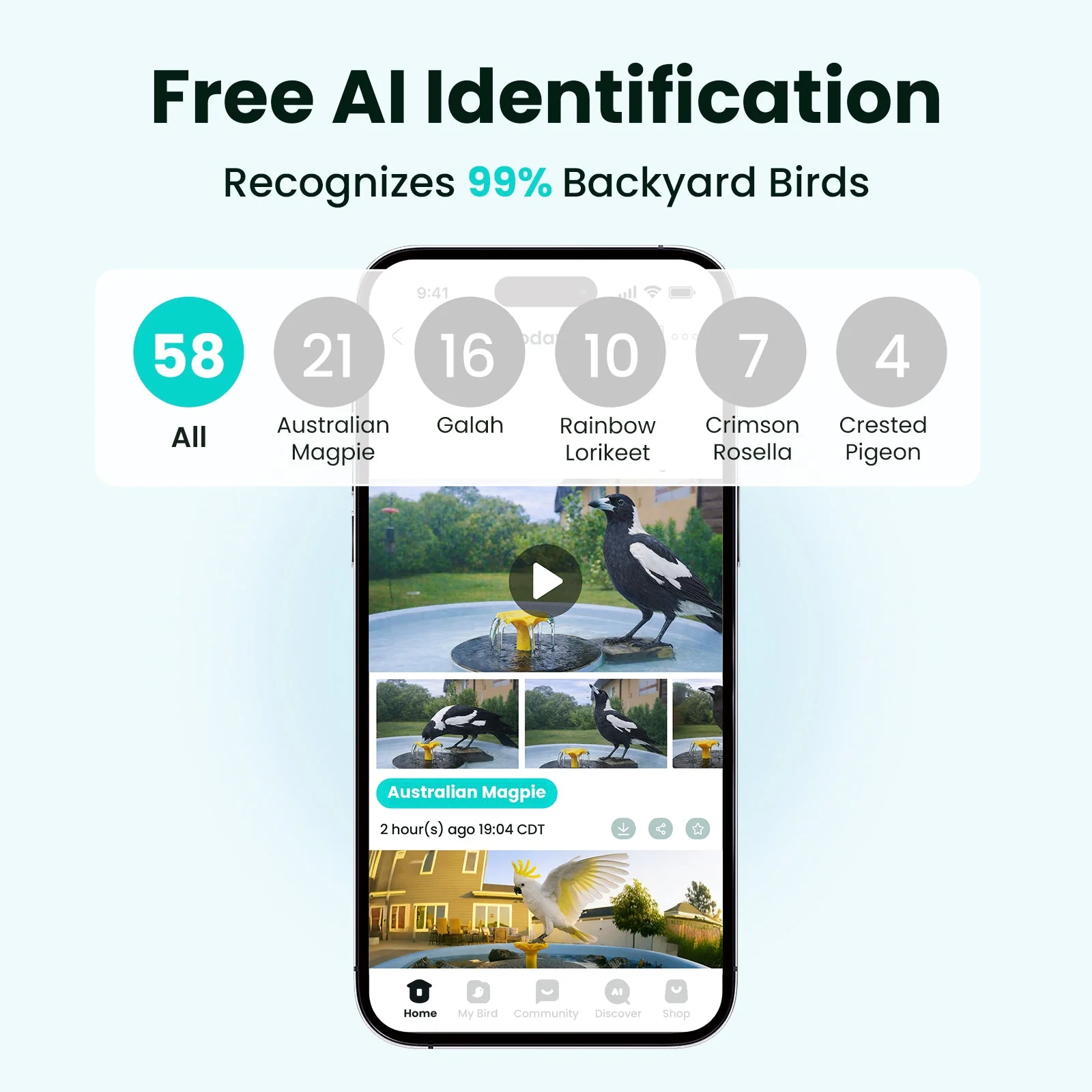 Birdfy Bath Pro AI Lifetime
Free - Image 10