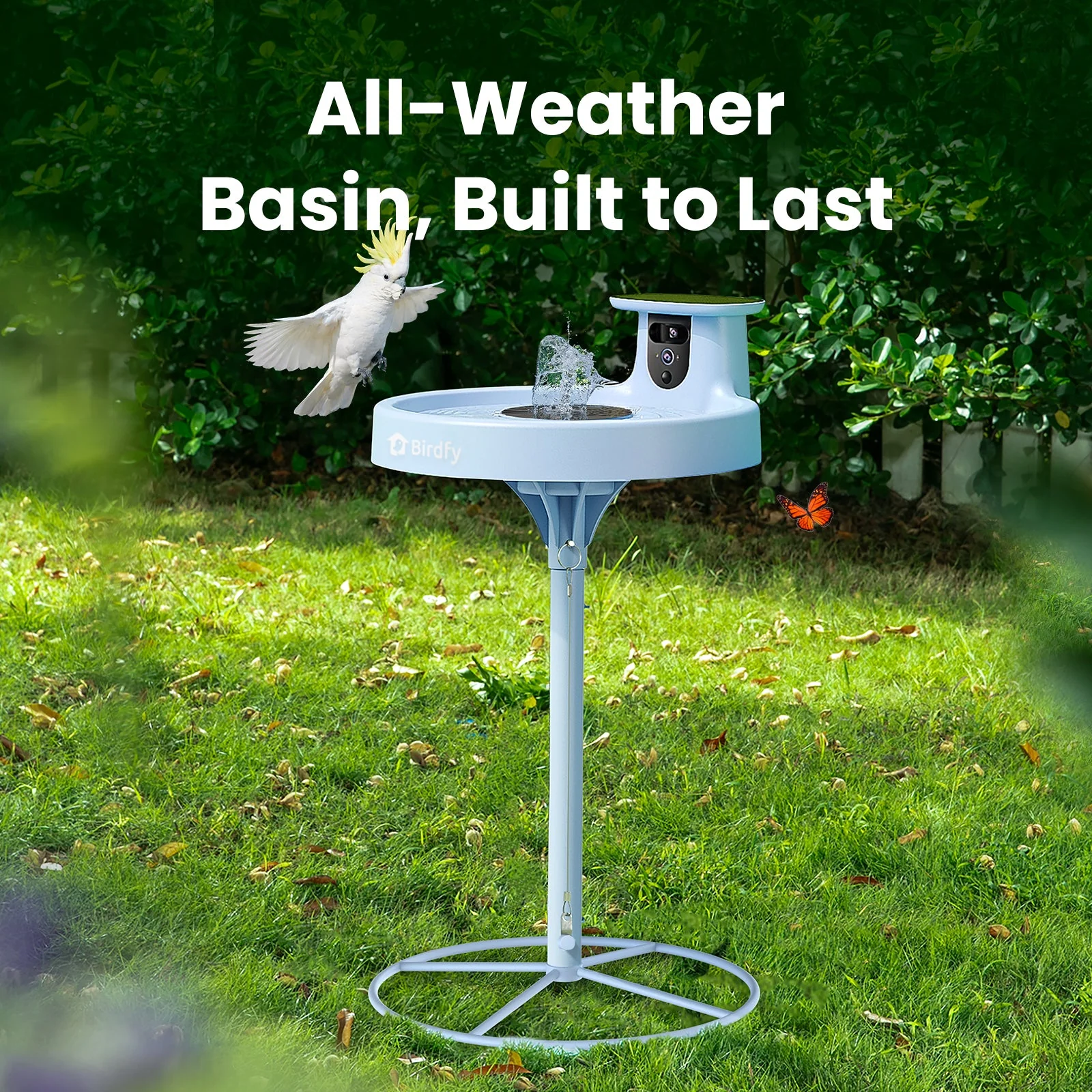 Birdfy Bath Pro AI Lifetime
Free - Image 5