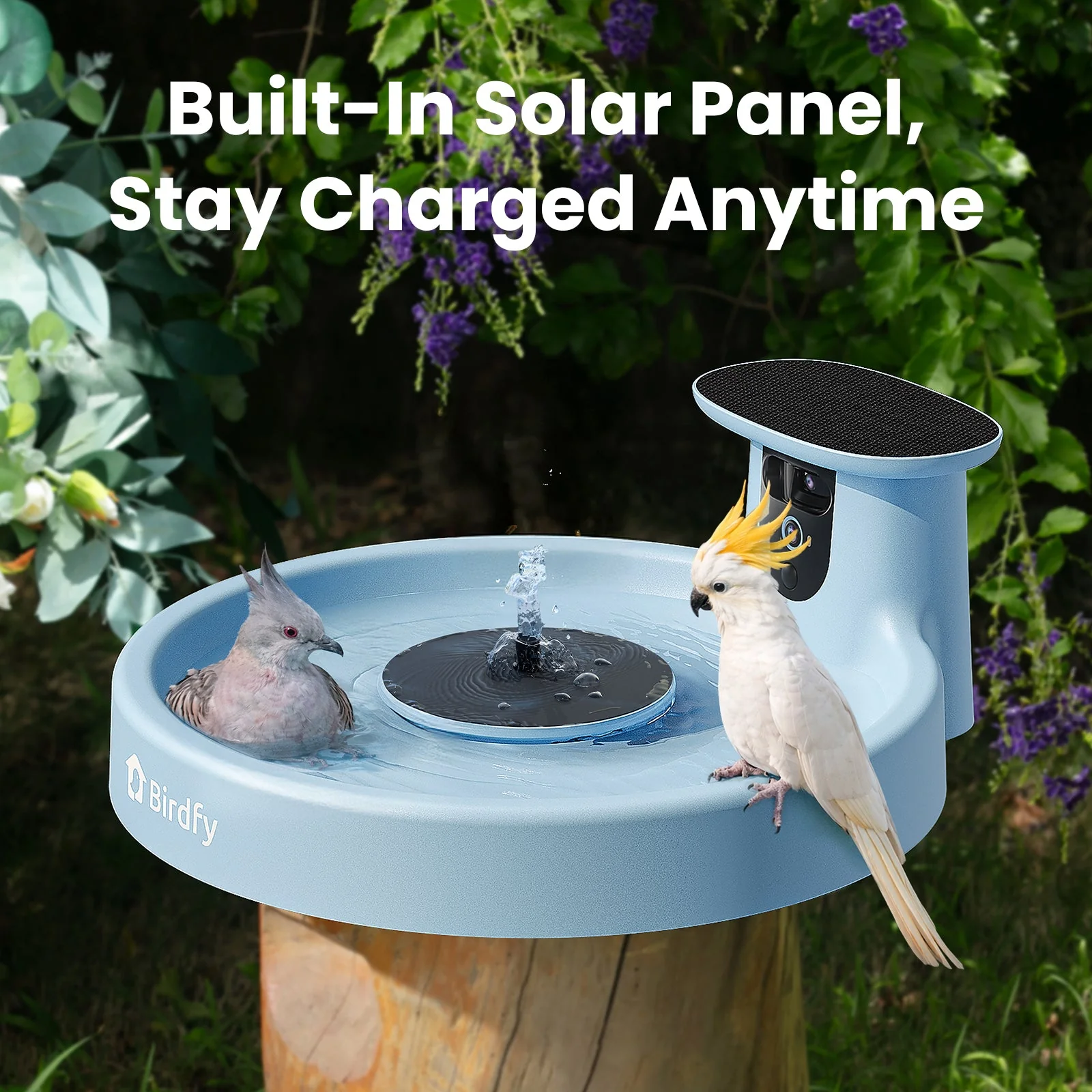 Birdfy Bath Pro AI Lifetime
Free - Image 6
