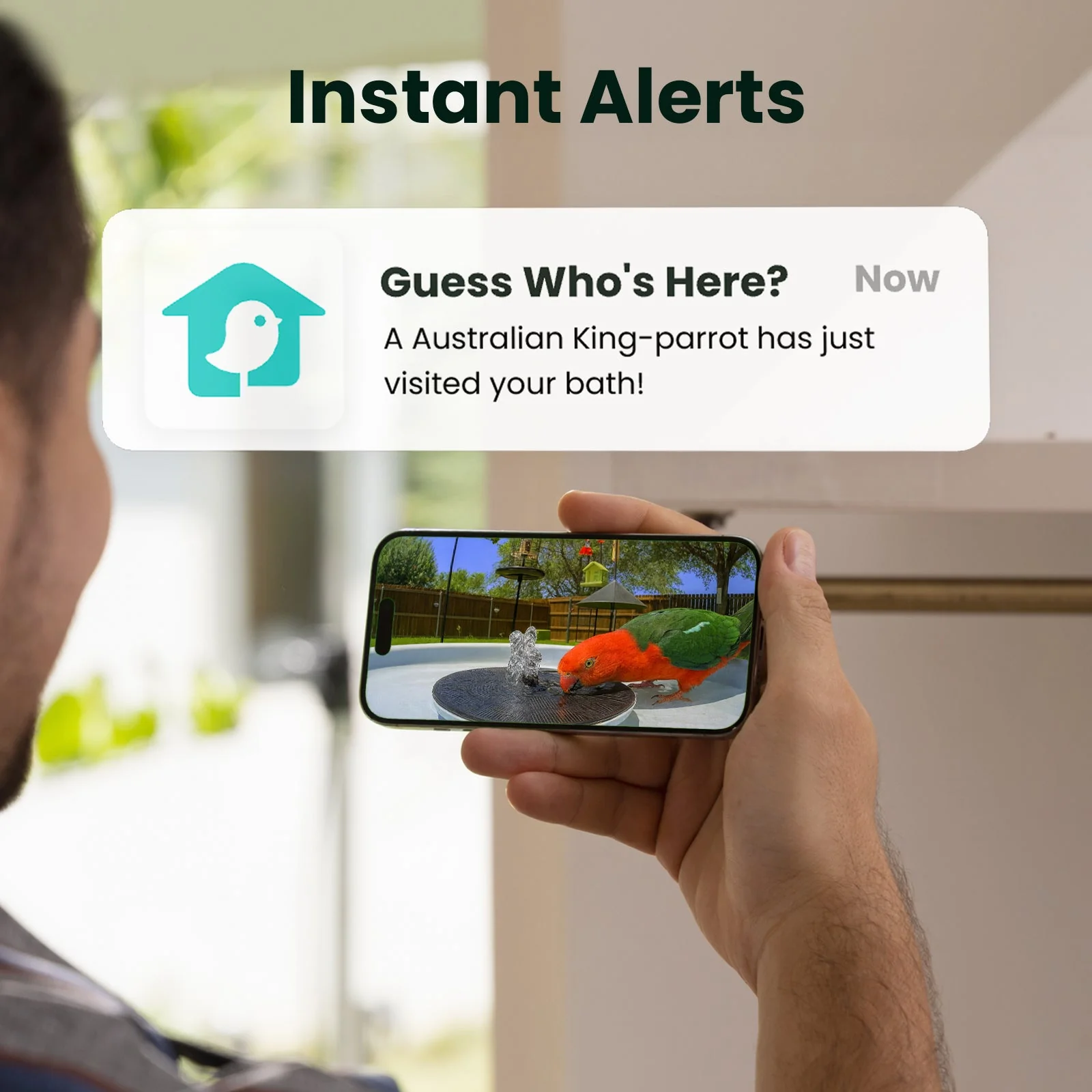 Birdfy Bath Pro AI Lifetime
Free - Image 7