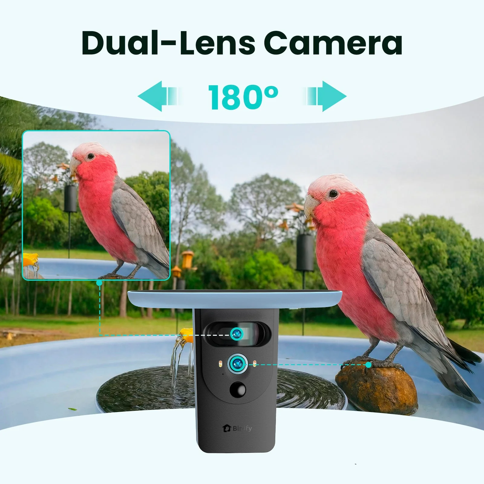Birdfy Bath Pro AI Lifetime
Free - Image 8