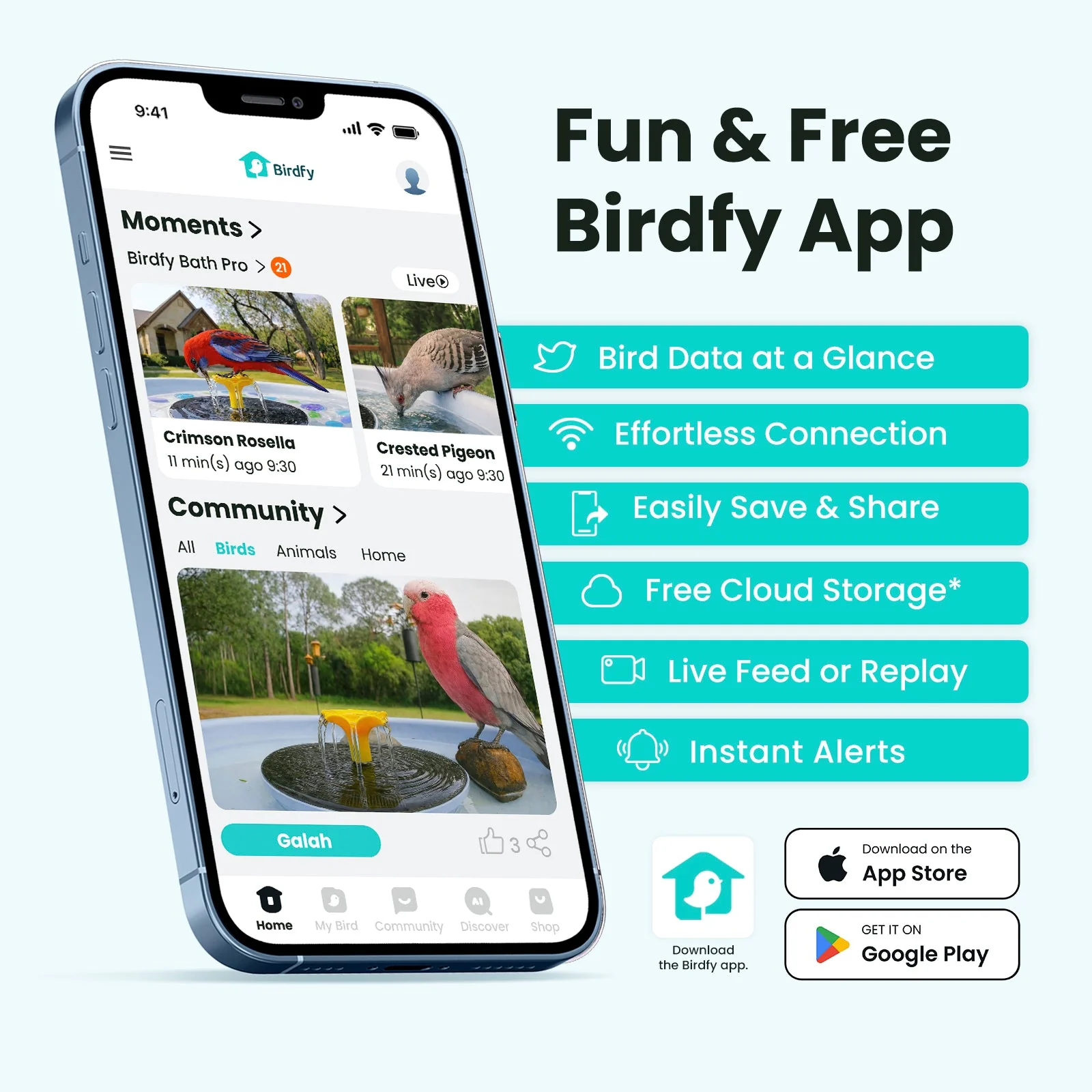 Birdfy Bath Pro AI Lifetime
Free - Image 9