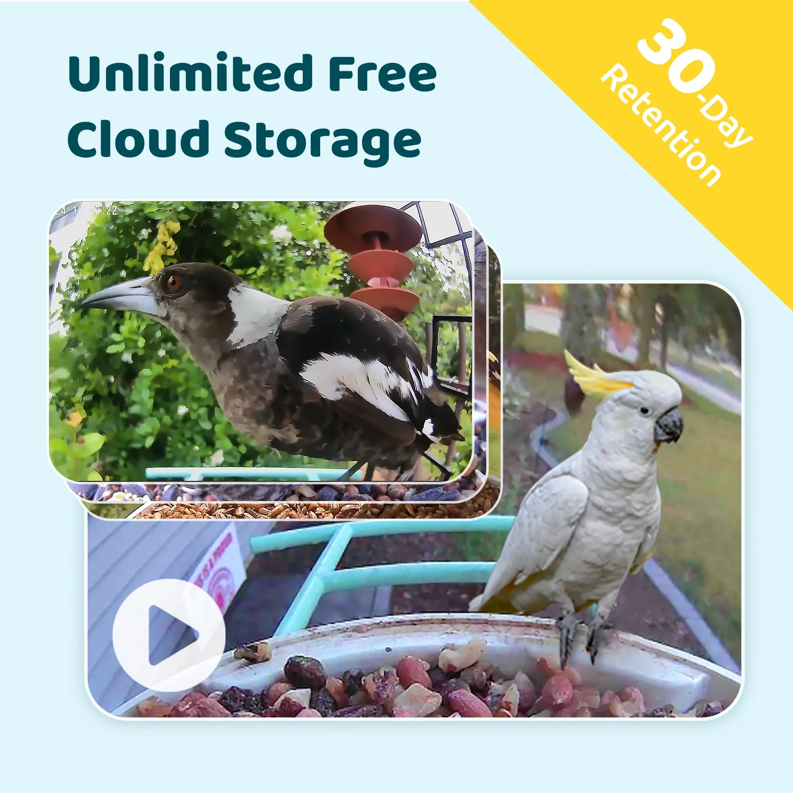 Birdfy Feeder AI Lifetime Free with Solar (Blue) - Image 8