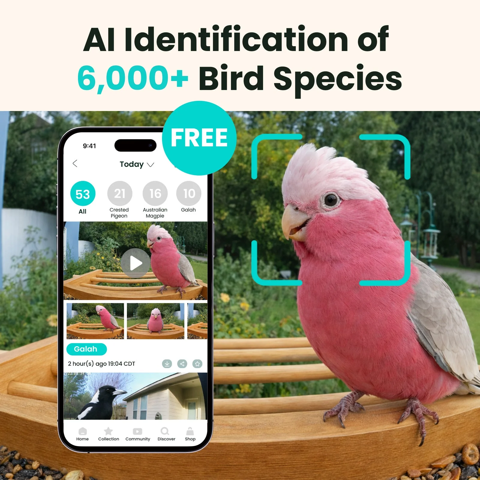 Birdfy Feeder Bamboo AI Lifetime Free with Solar - Image 2