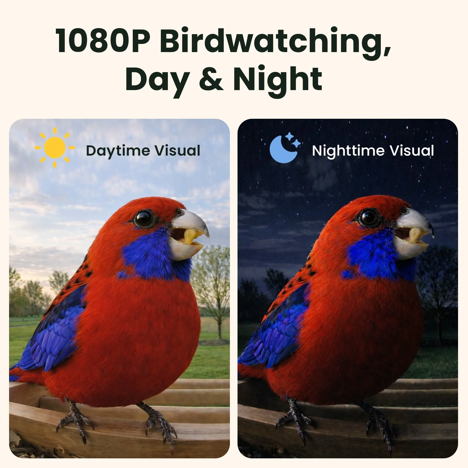 Birdfy Feeder Bamboo AI Lifetime Free with Solar - Image 4
