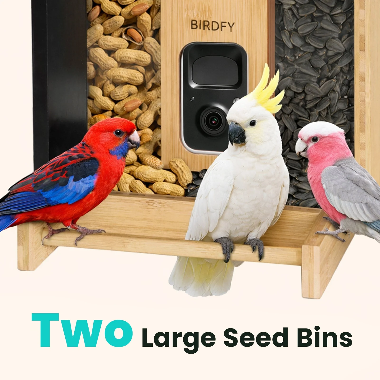 Birdfy Feeder Bamboo AI Lifetime Free with Solar - Image 5