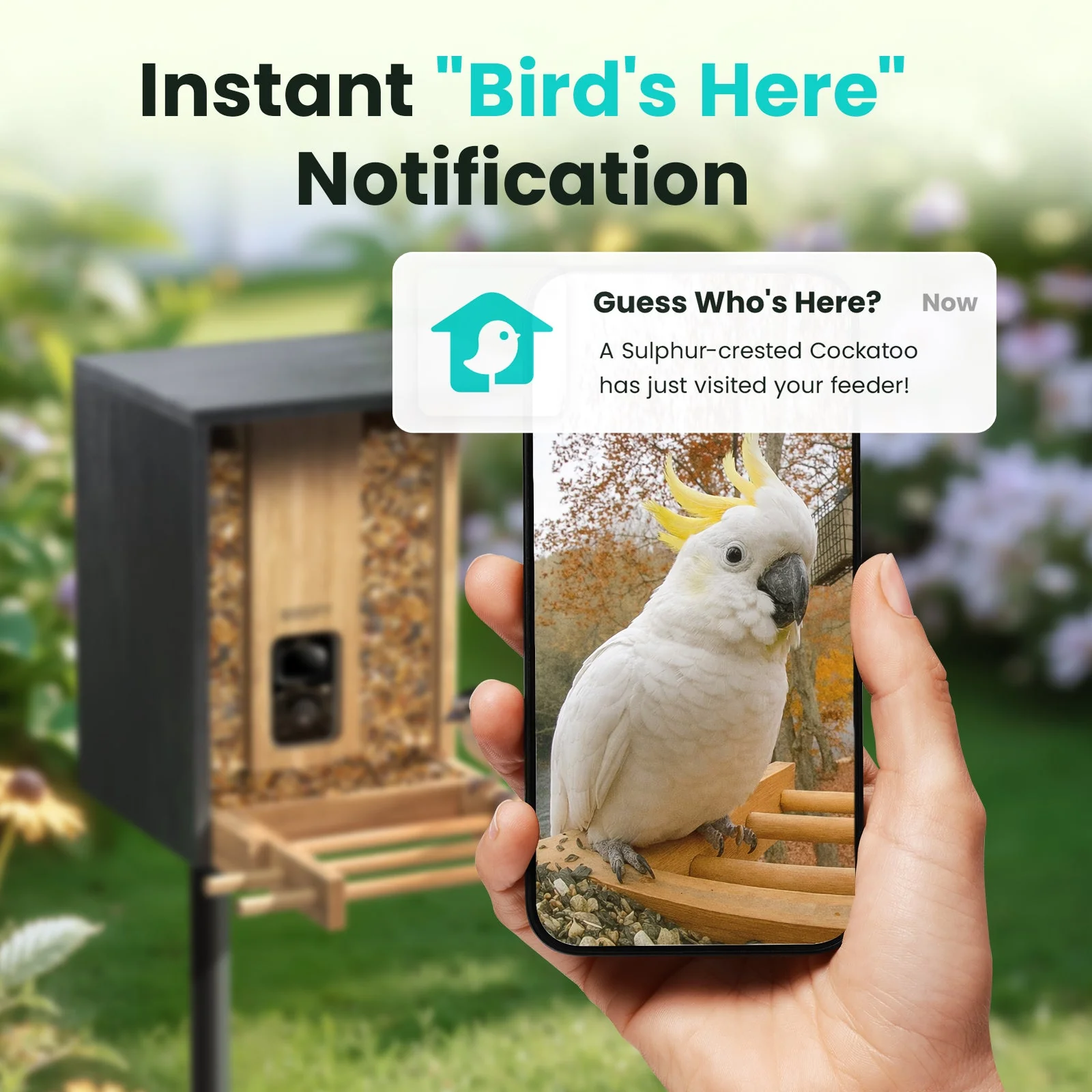 Birdfy Feeder Bamboo AI Lifetime Free with Solar - Image 6