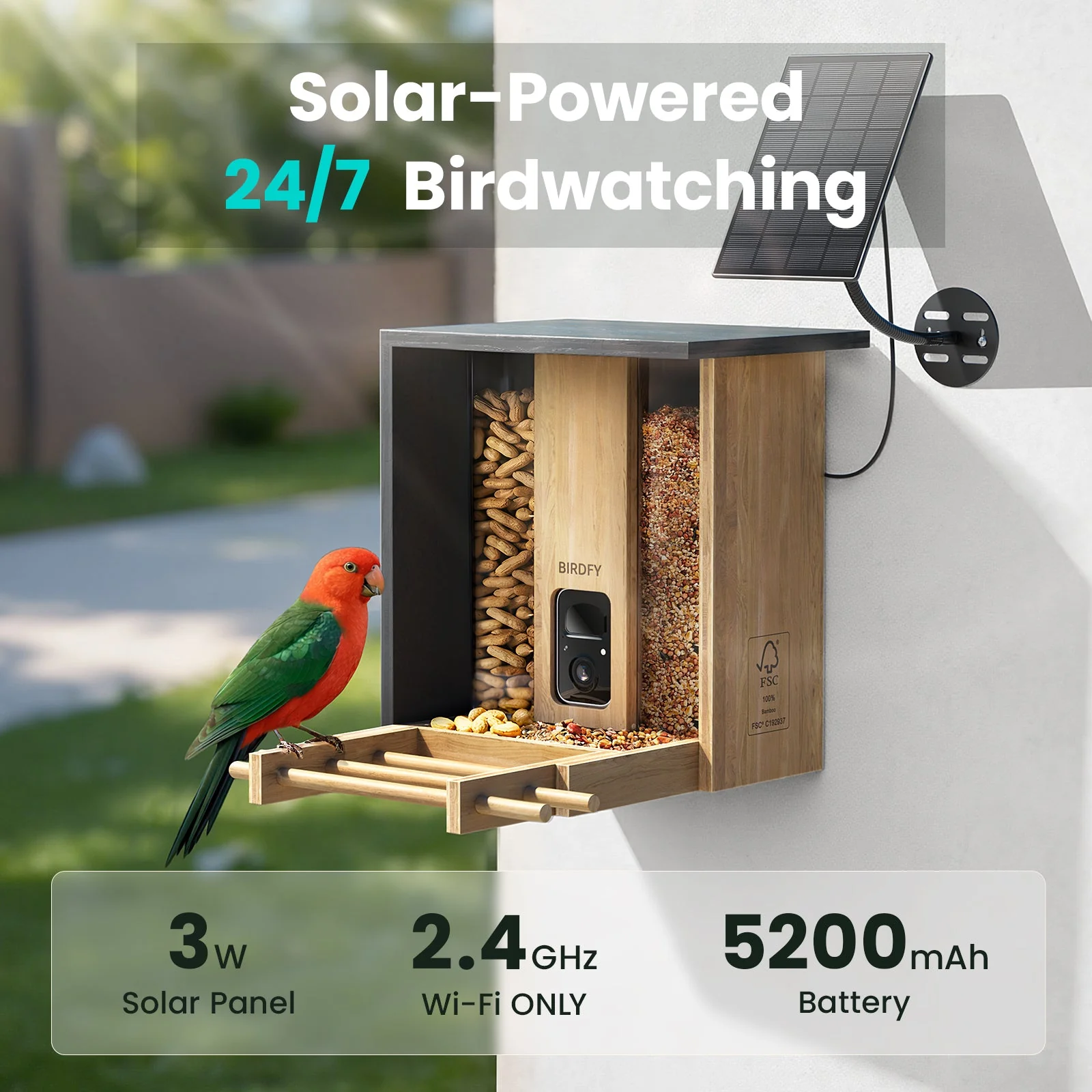 Birdfy Feeder Bamboo AI Lifetime Free with Solar - Image 8
