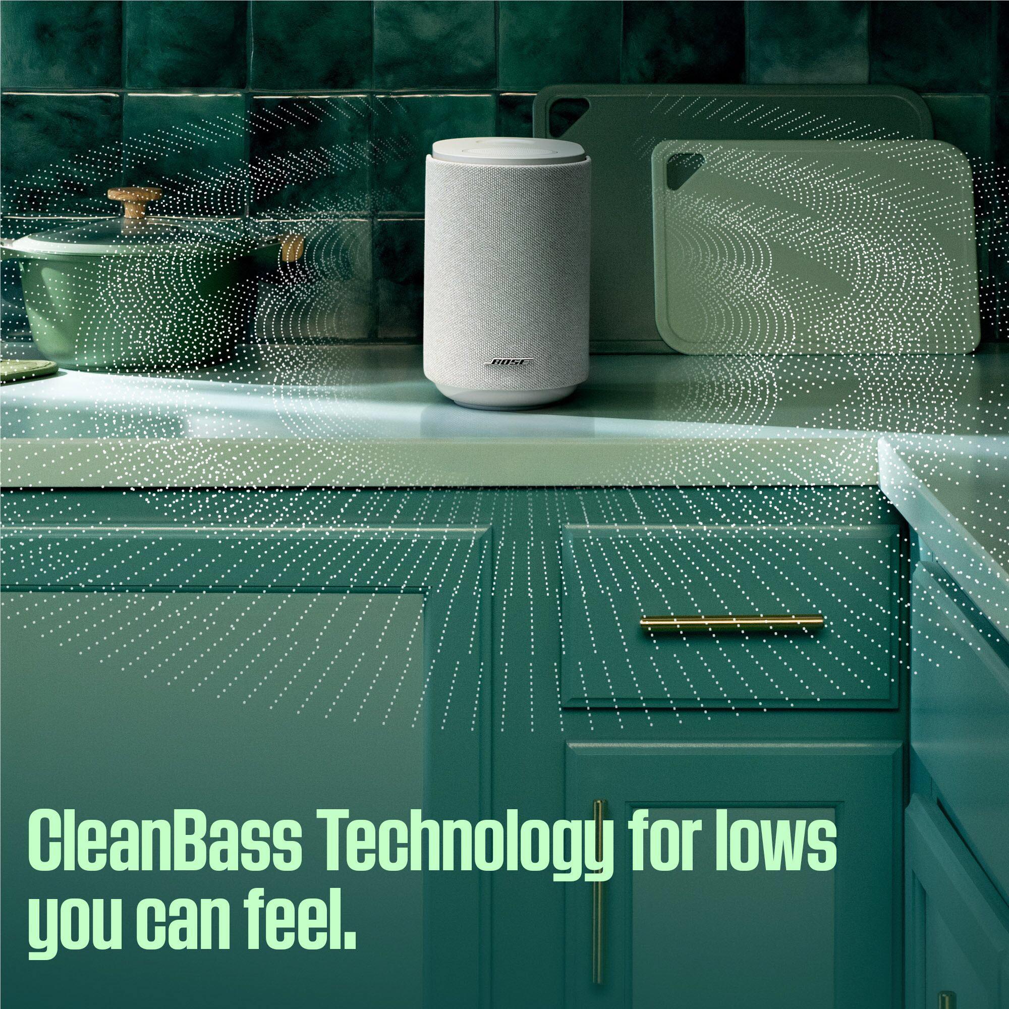 Bose Lifestyle Ultra Speaker (Black) - Image 7