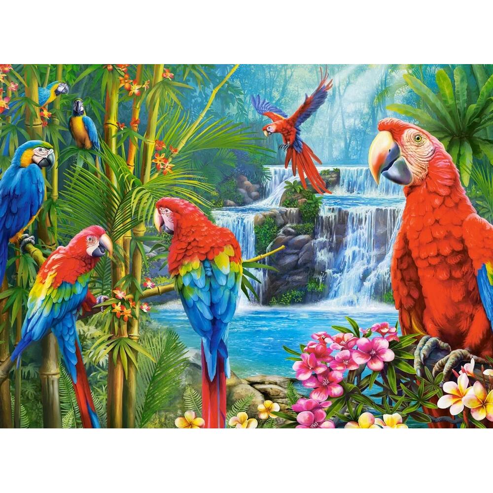 Castorland 2000-Pieces Parrot Meeting Puzzle - Image 2