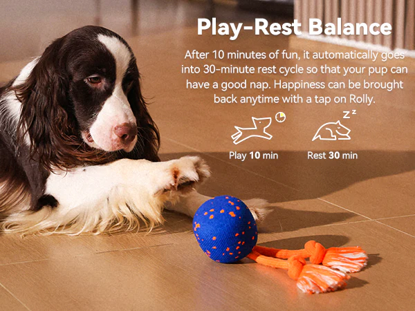 Cheerble Wicked Ball Rolly - Interactive Smart Dog Toy - Royal Blue - Image 8