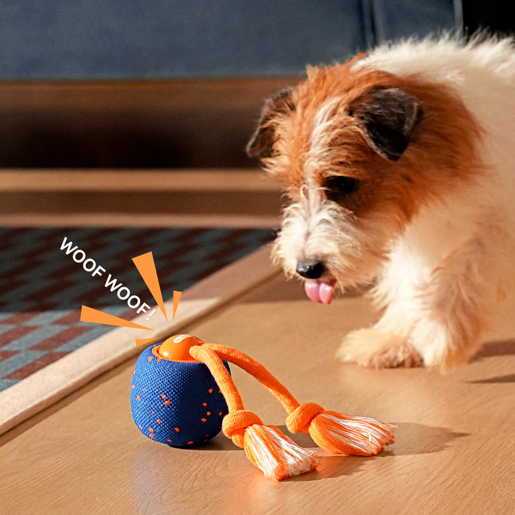 Cheerble Wicked Ball Rolly - Interactive Smart Dog Toy - Royal Blue - Image 9