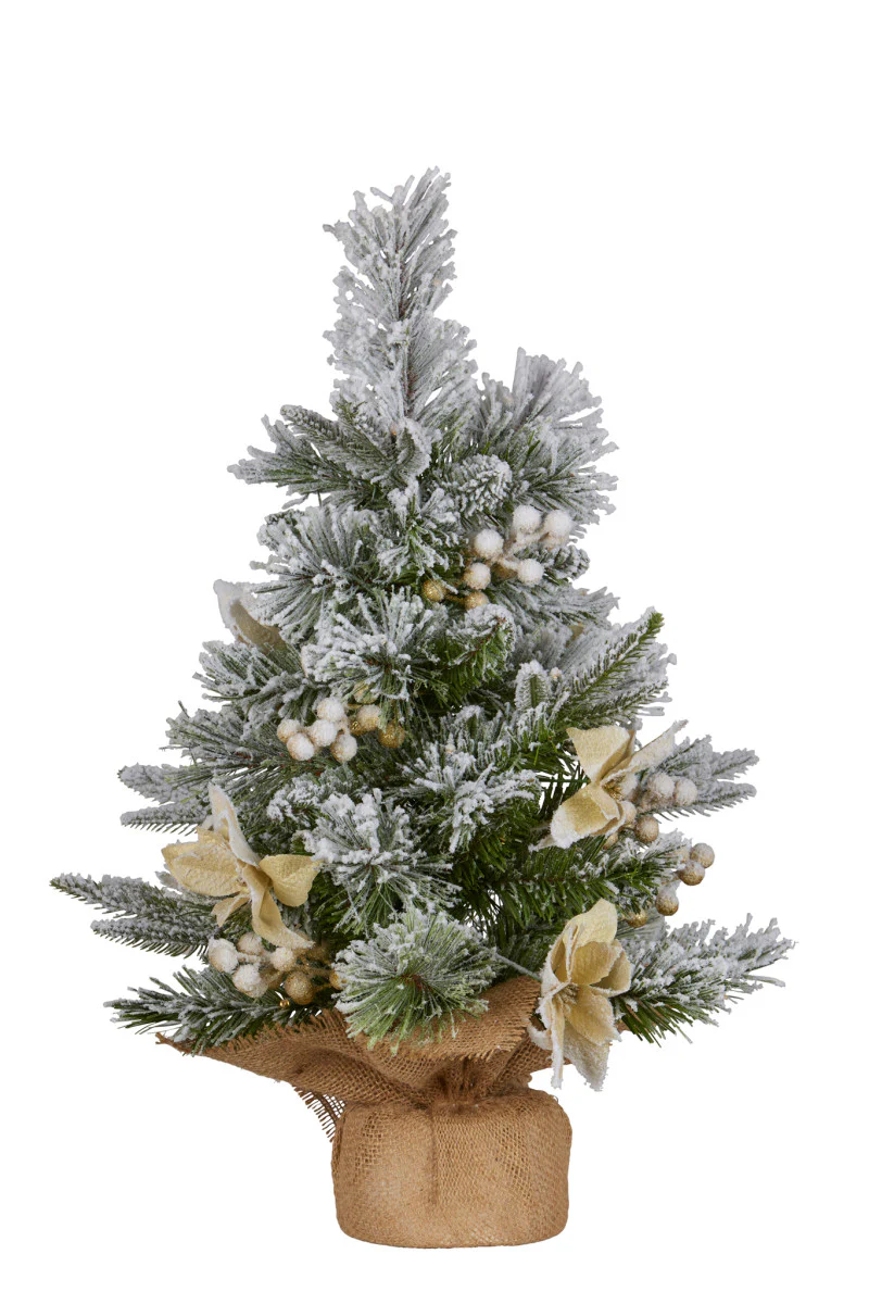 Christabelle 2ft Christmas Tree with Lights - Potted Frosted Colonial - Image 2