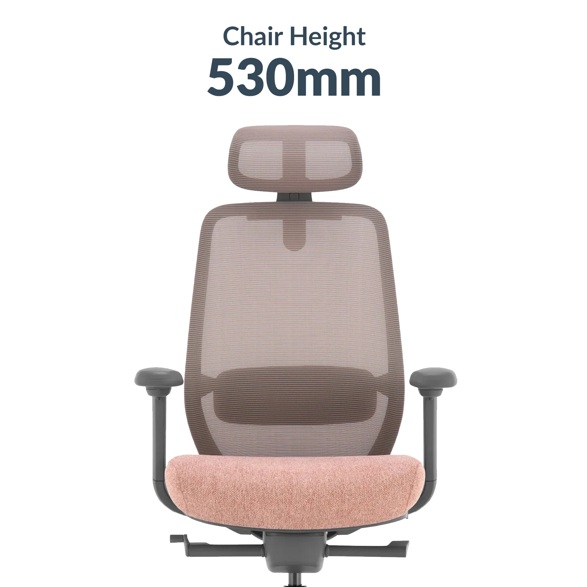 Desky CoilFlex Ergonomic Office Chair - Black / No Headrest - Image 6