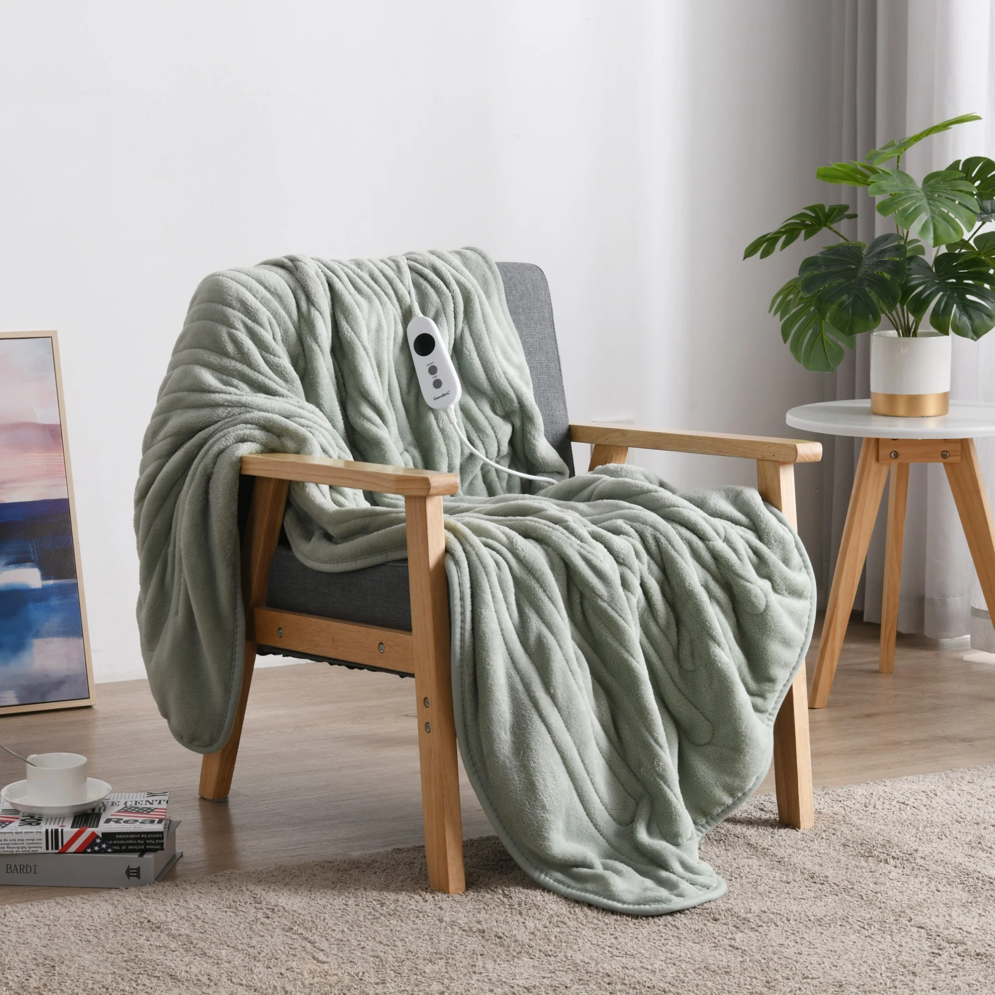 Dreamaker Coral Fleece Electric Heated Throw Blanket [130x160cm] (Sage) - Image 2