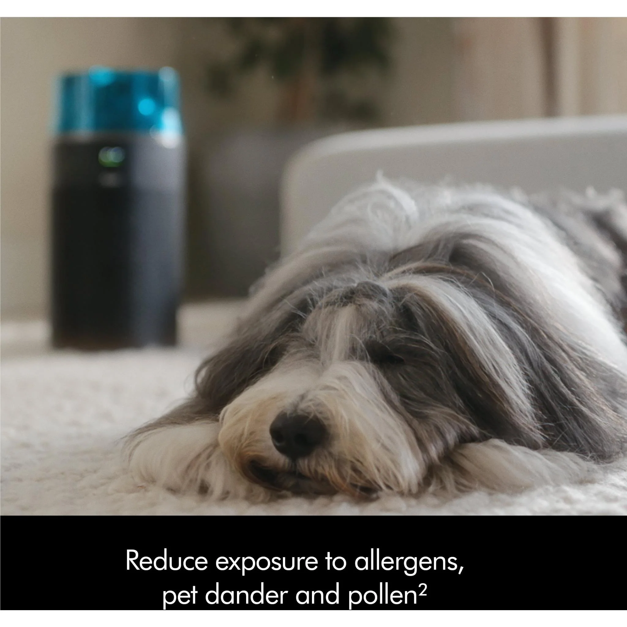 Dyson HushJet™ Purifier Compact HJ10 - Image 12