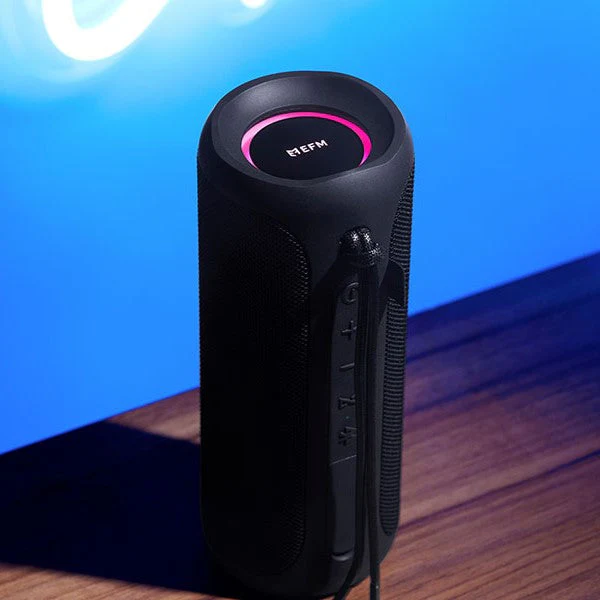 EFM Austin Pro 40W Bluetooth Speaker (Charcoal Black) - Image 3