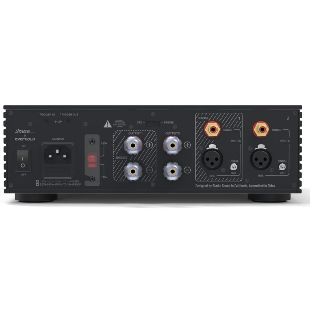 Eversolo AMP-F2 2ch Class D Power Amplifier - Image 5