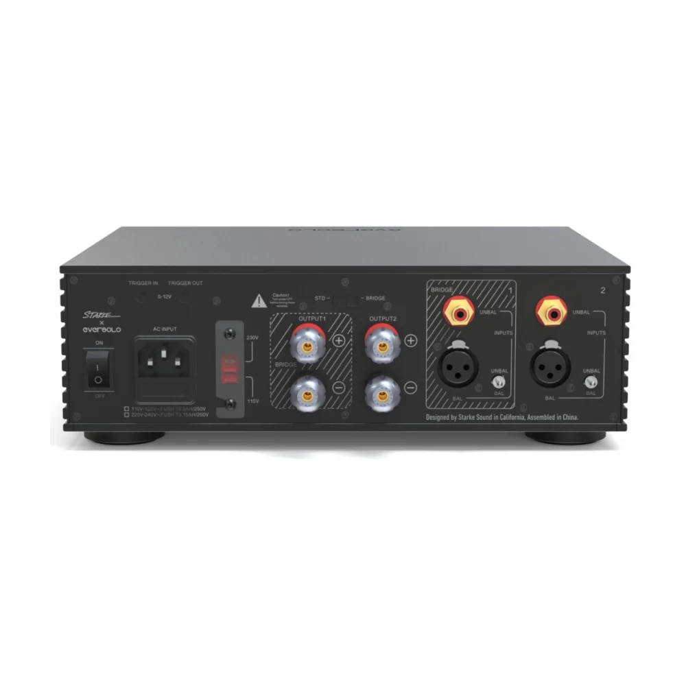 Eversolo AMP-F2 2ch Class D Power Amplifier - Image 6