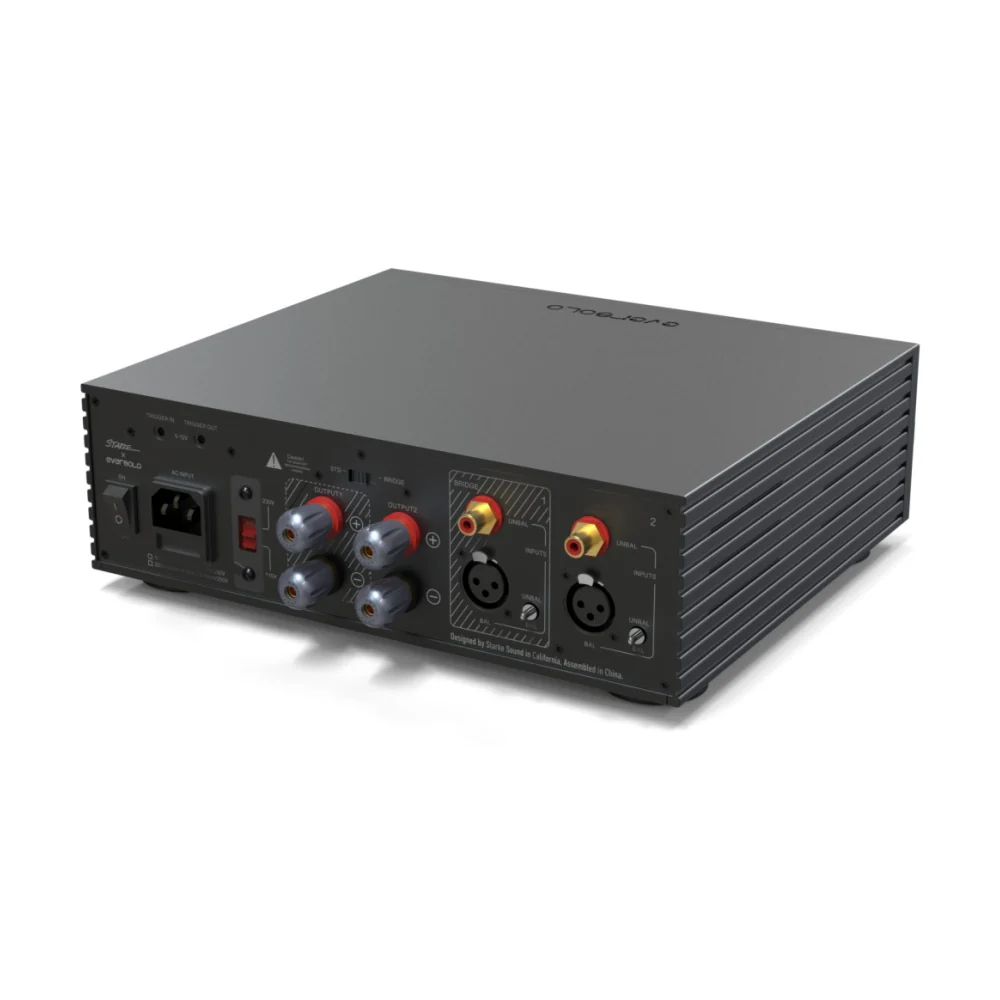 Eversolo AMP-F2 2ch Class D Power Amplifier - Image 7