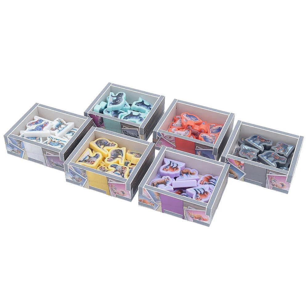 Folded Space Colour Game Inserts - Fox Experiment - Image 3