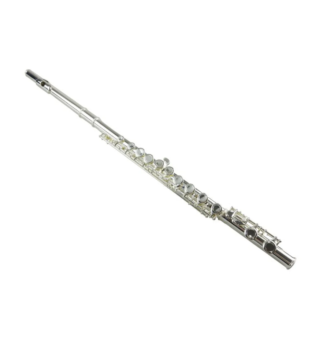Freedom 16-Key C Flute Nickel Plated Student Beginner Hard Case