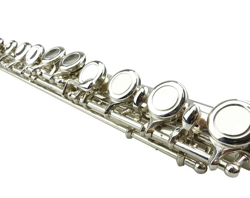 Freedom 16-Key C Flute Nickel Plated Student Beginner Hard Case - Image 2