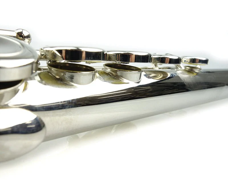 Freedom 16-Key C Flute Nickel Plated Student Beginner Hard Case - Image 3
