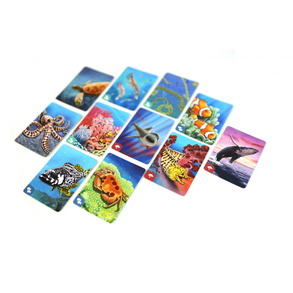Genius Games Ecosystem: Coral Reef Kids/Children Strategy Board Game 10y+ - Image 4