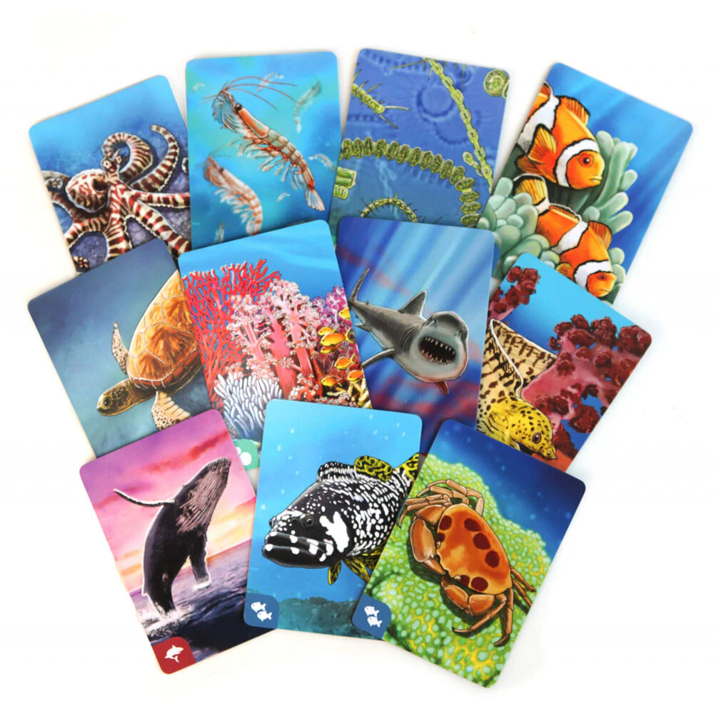 Genius Games Ecosystem: Coral Reef Kids/Children Strategy Board Game 10y+ - Image 5