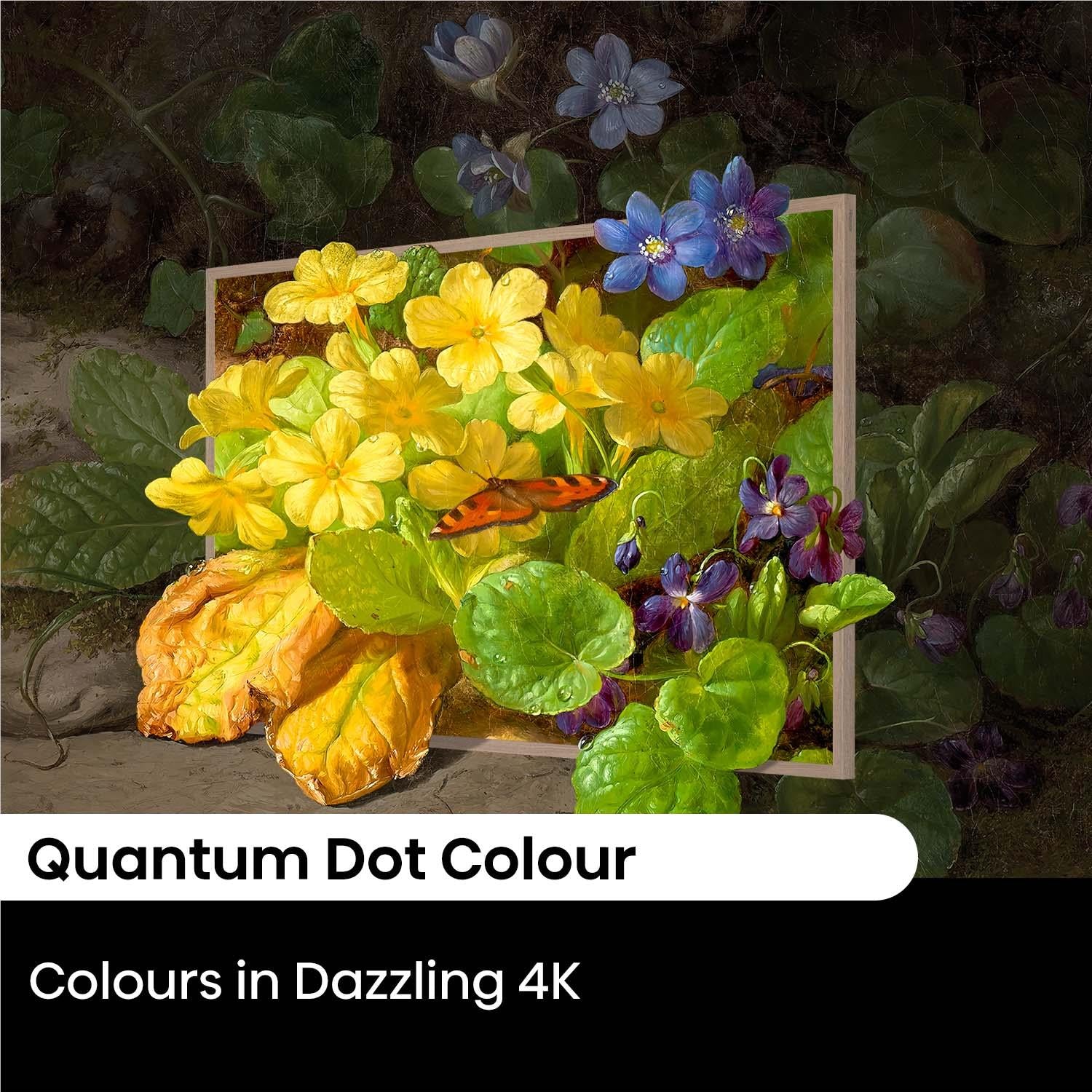 Hisense 55" S7NAU Canvas 4K QLED Smart TV [2024] - Image 4