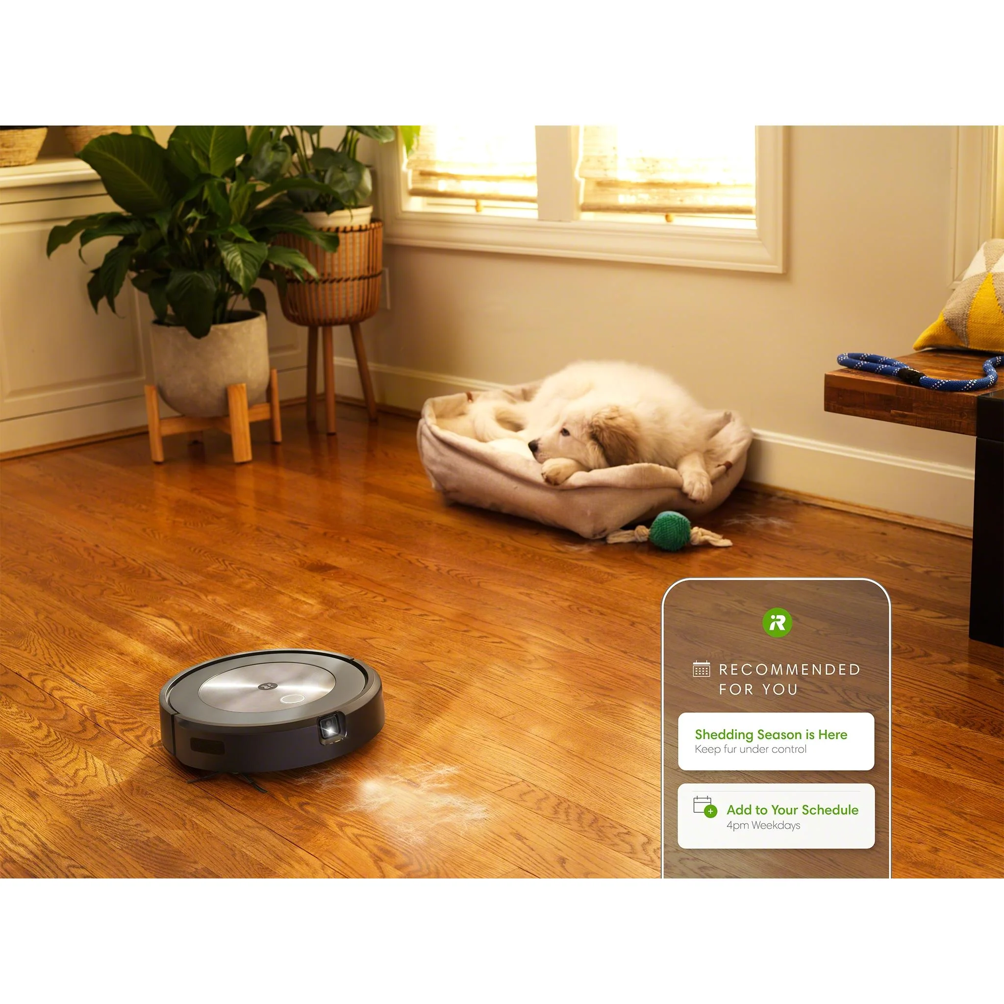 iRobot Roomba J7+ Robot Vacuum - Image 19
