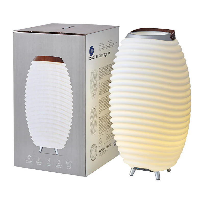 Kooduu Synergy 65 JBL Speaker - Image 6