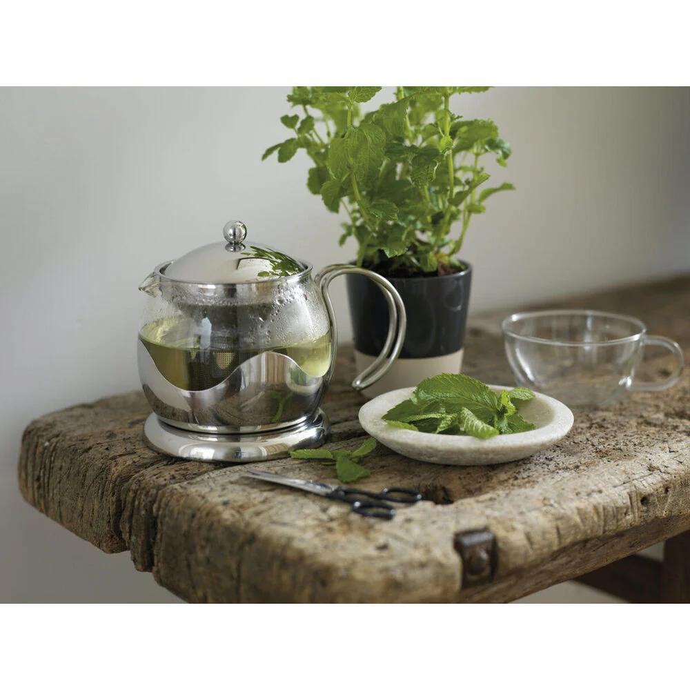 La Cafetiere 17.5cm/660ml Izmir Glass Teapot with Stainless Infuser - Image 2