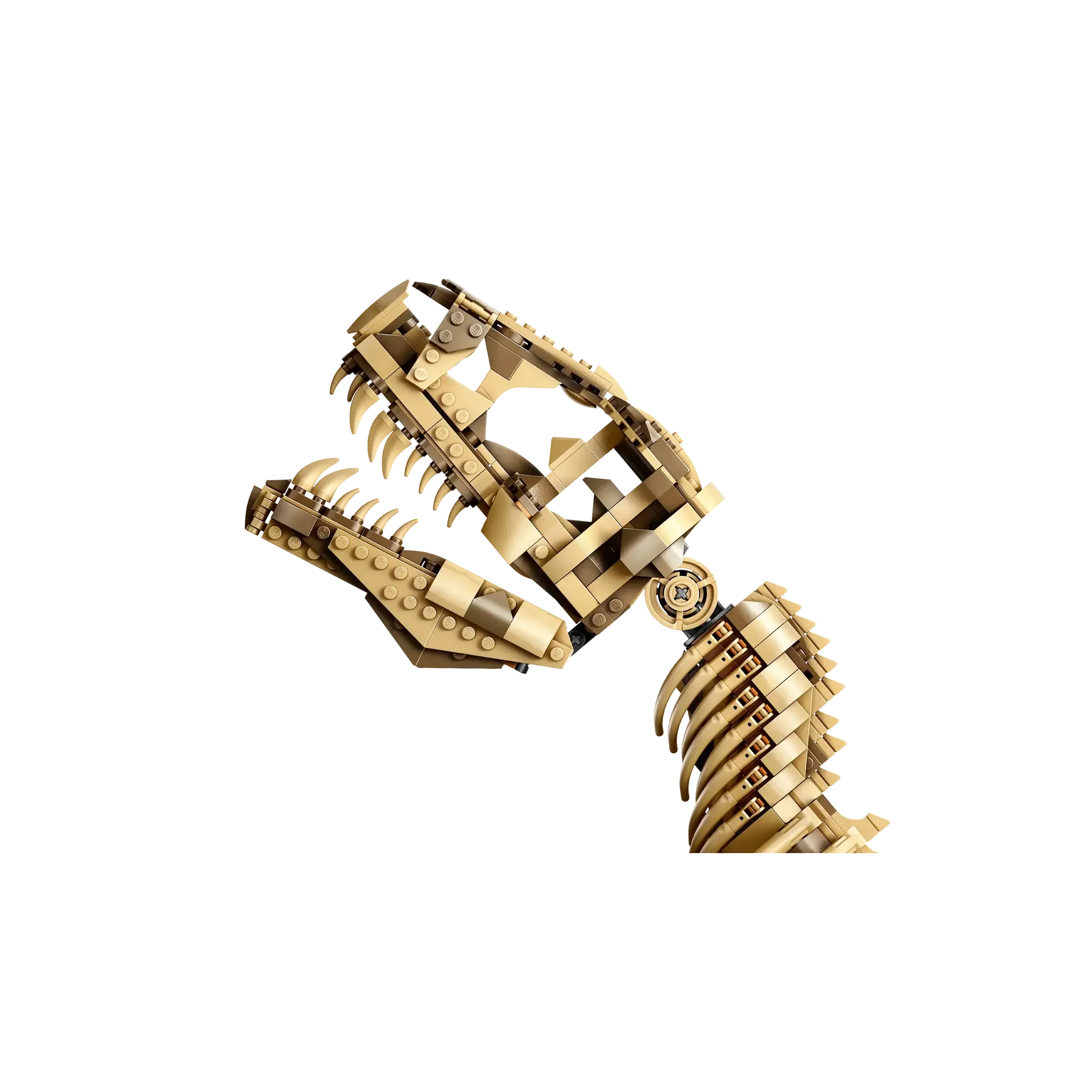 LEGO Dinosaur Fossils: Tyrannosaurus rex - Image 3