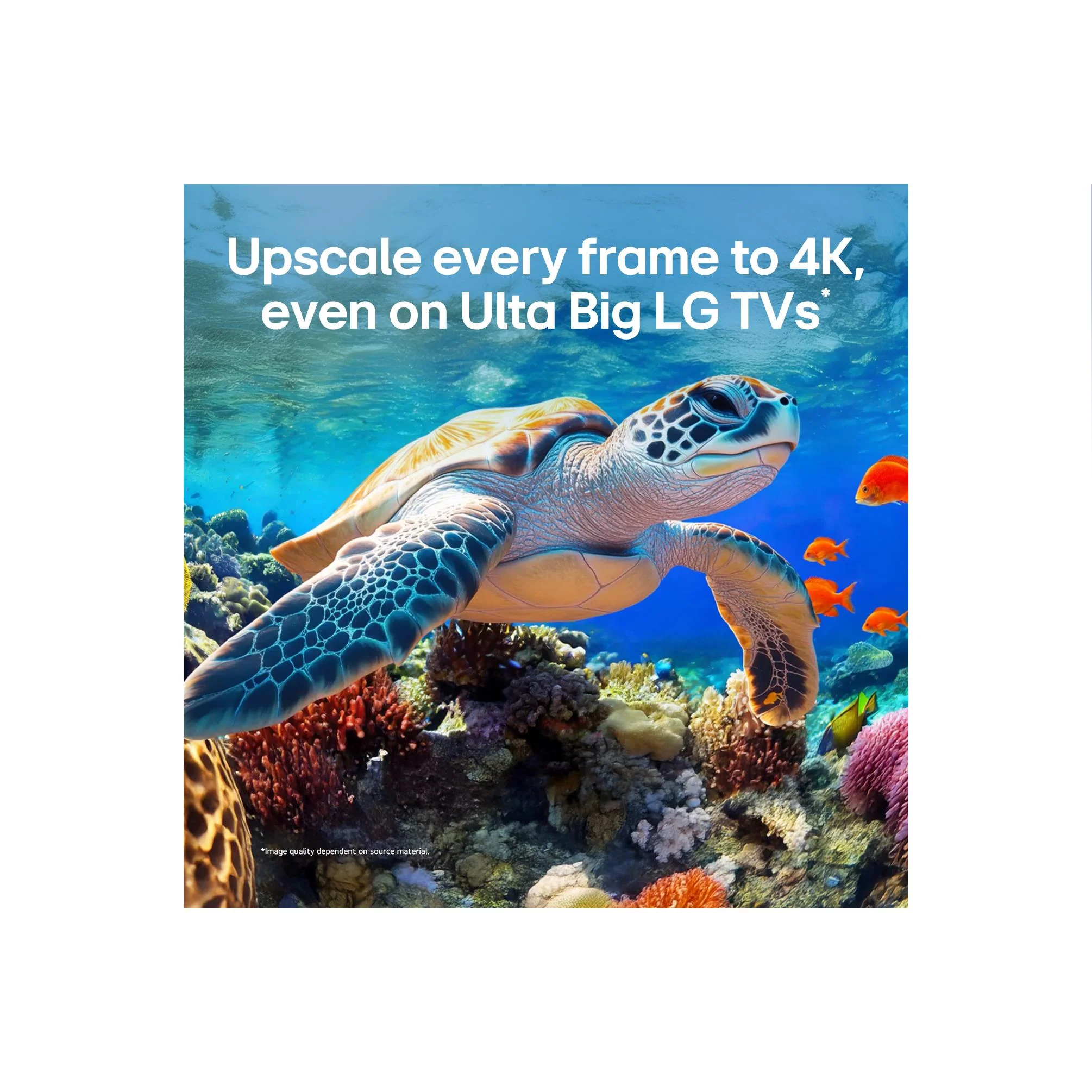 LG 75" QNED80B EVO AI Mini-LED 4K Smart TV [2026] - Image 9