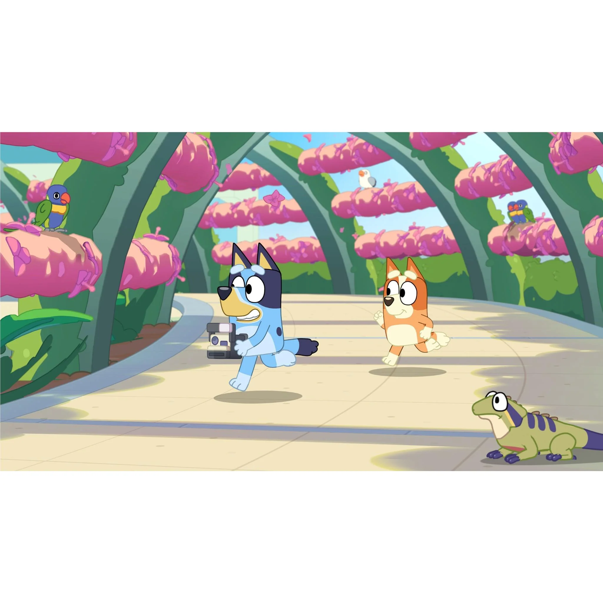 Bluey's Happy Snaps: Deluxe Edition - Image 9