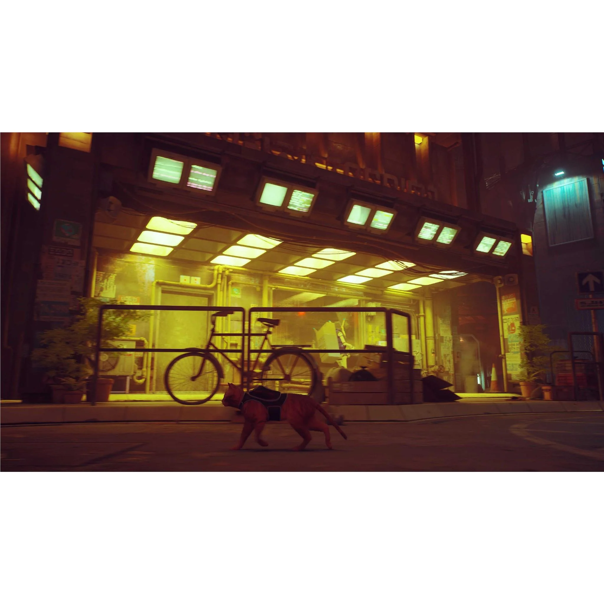 Stray - Image 3