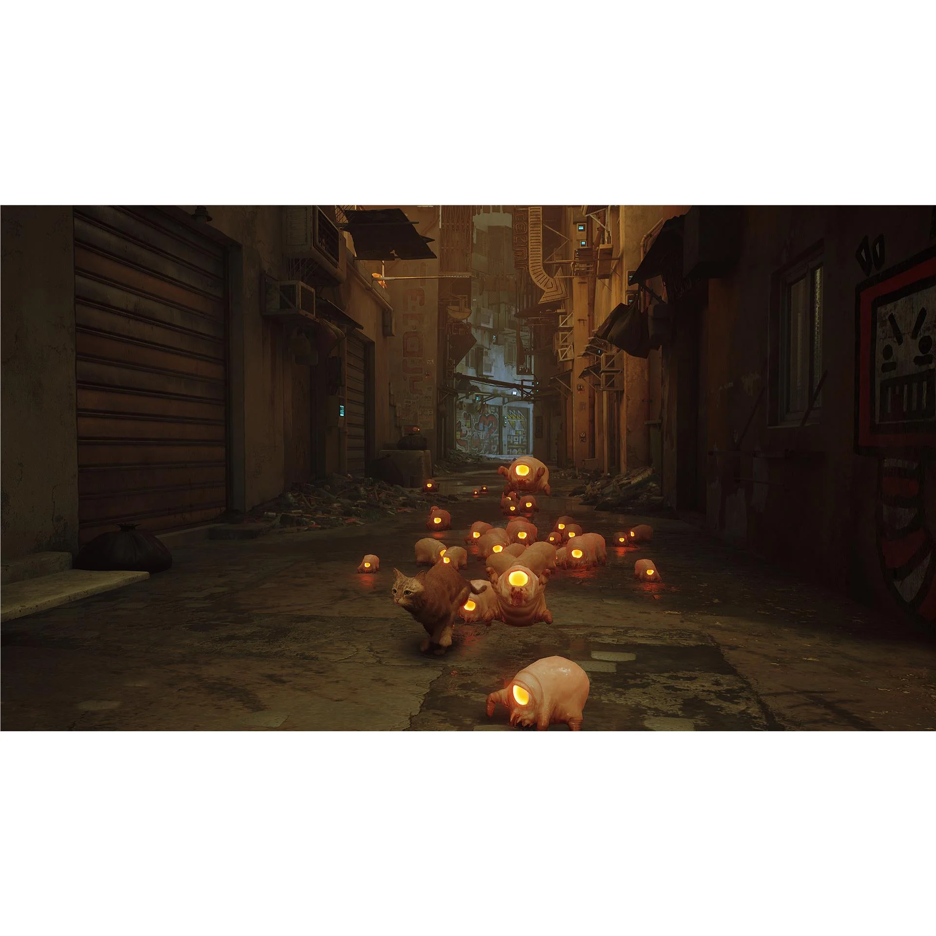 Stray - Image 5