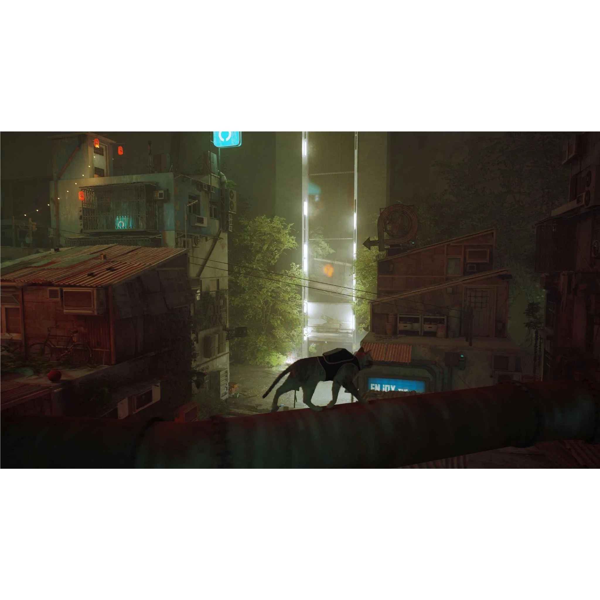 Stray - Image 7
