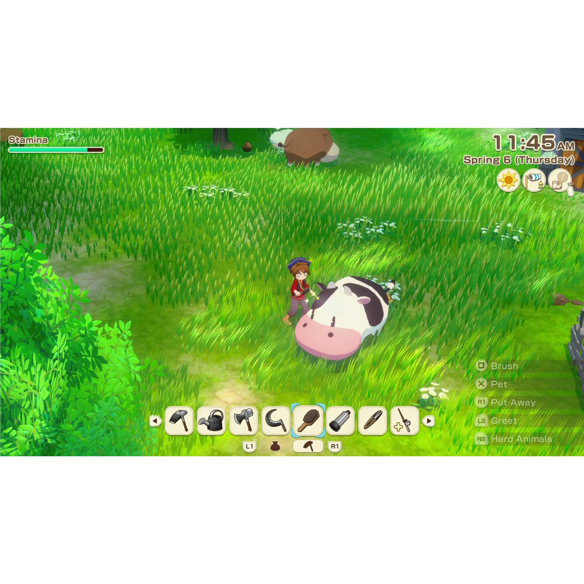 STORY OF SEASONS: Grand Bazaar - Image 2
