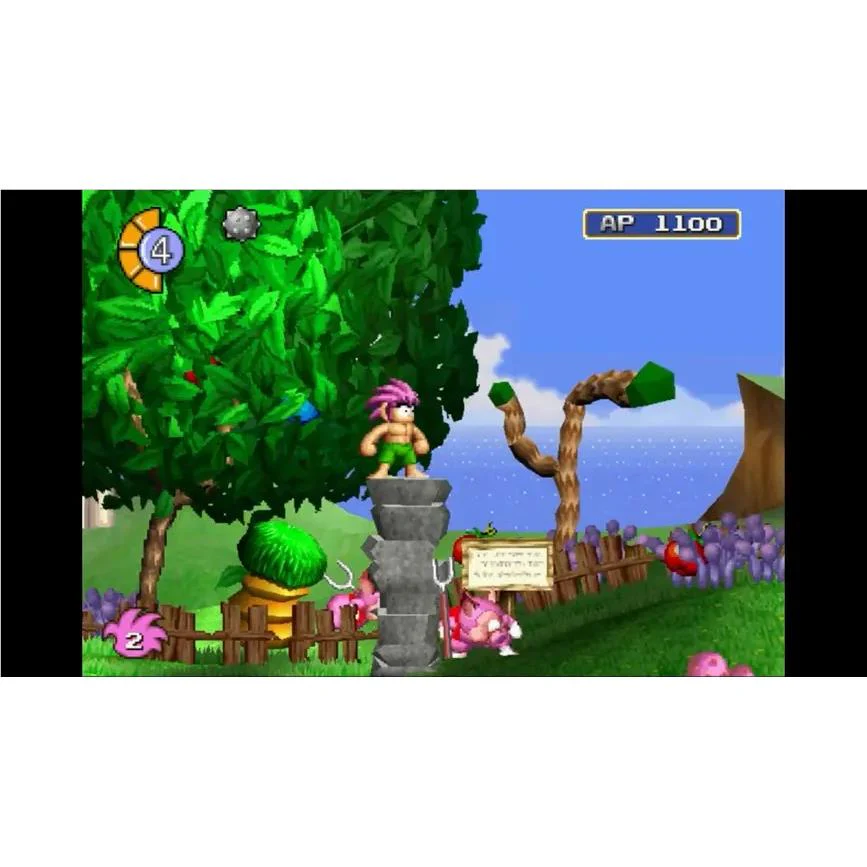 Tomba Special Edition - Limited Run #108 - Image 2