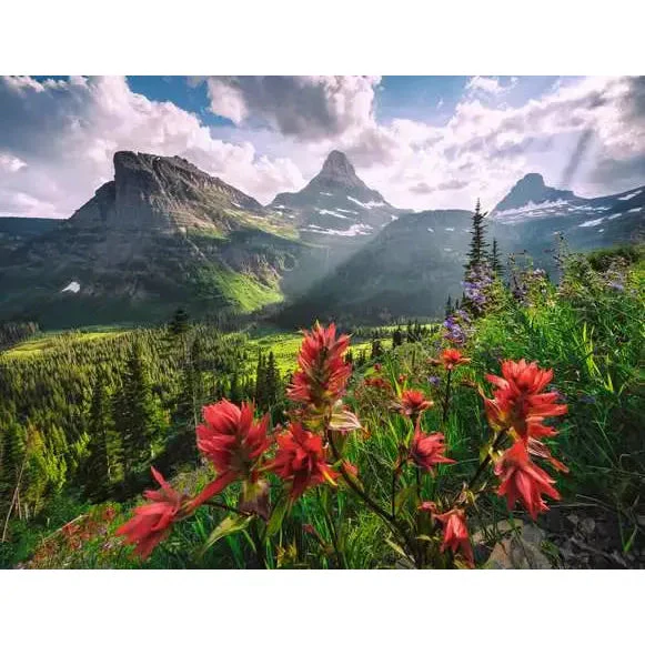 Ravensburger 2000pc WT: Landscape Puzzle - Image 2