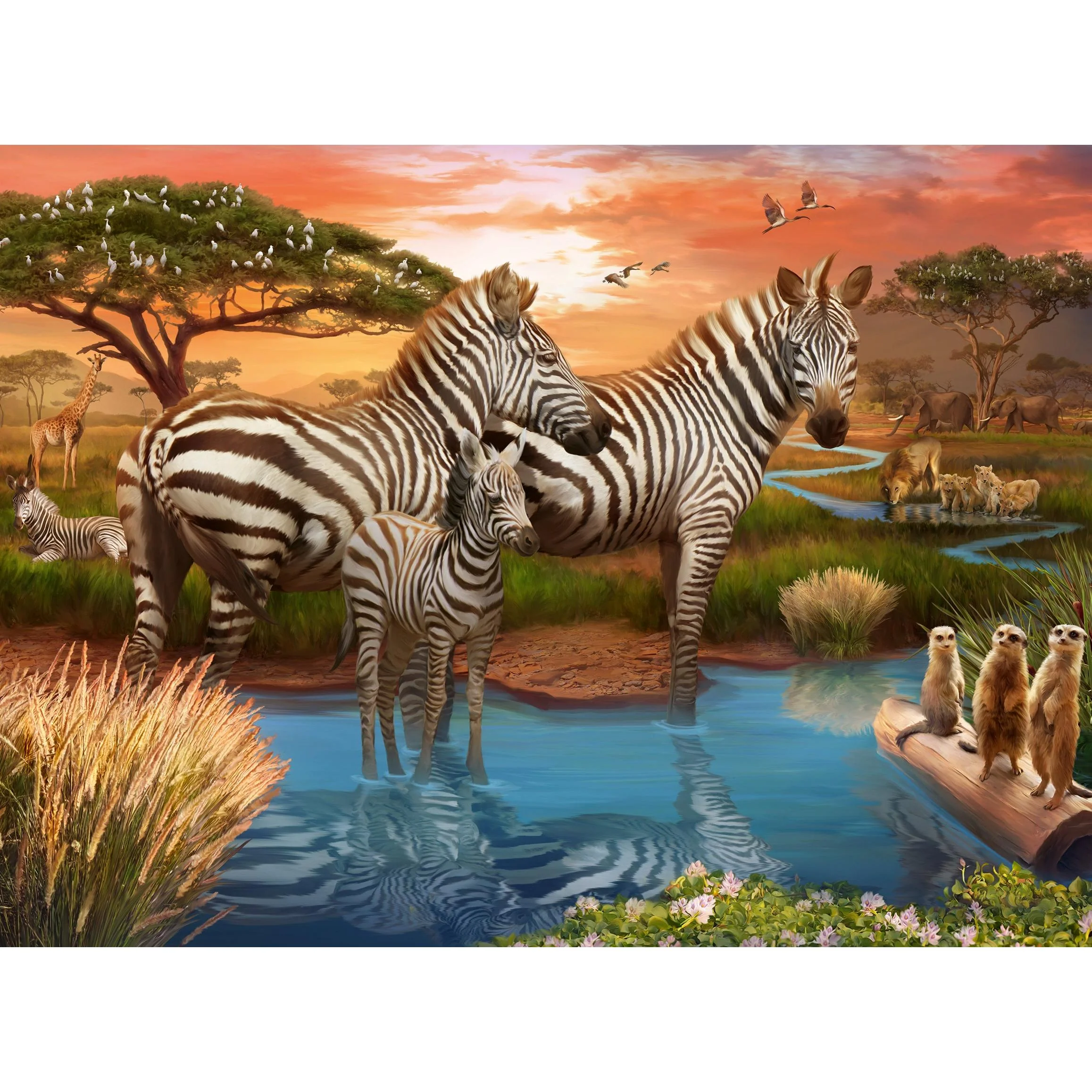 Ravensburger 500pc Zebras at Waterhole Puzzle - Image 2
